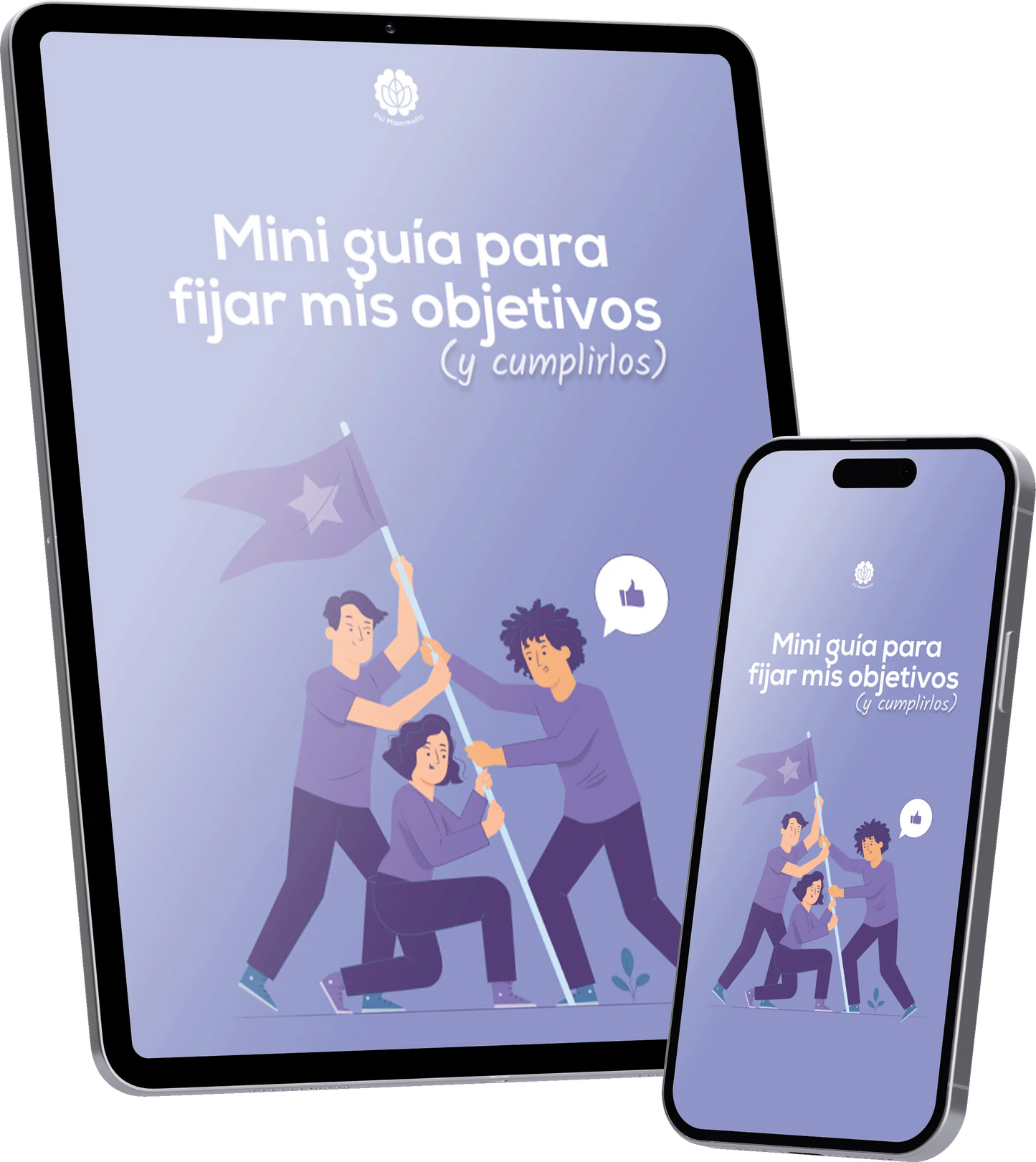 Mini guía para cumplir objetivos