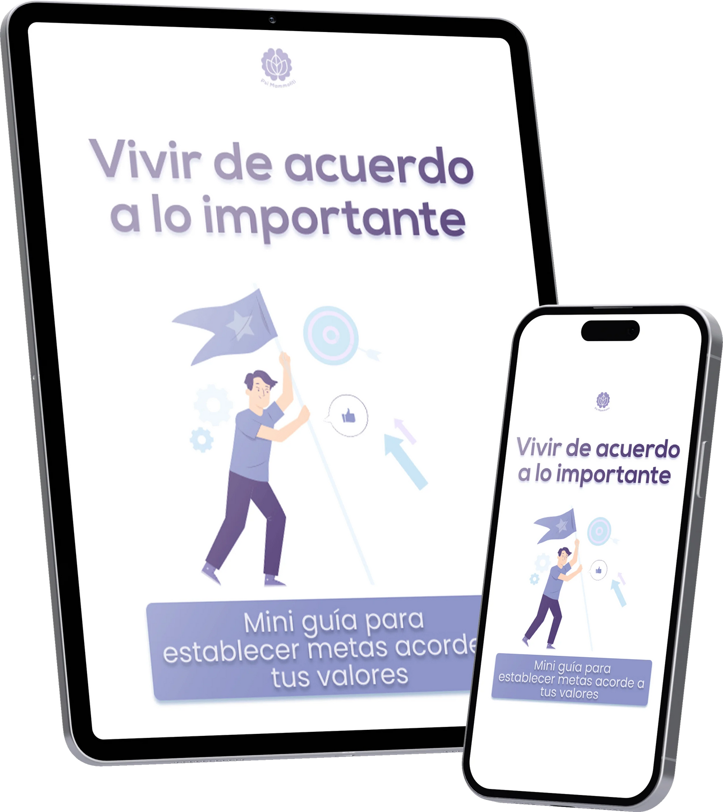 Mini guia para establecer metas acorde a tus valores